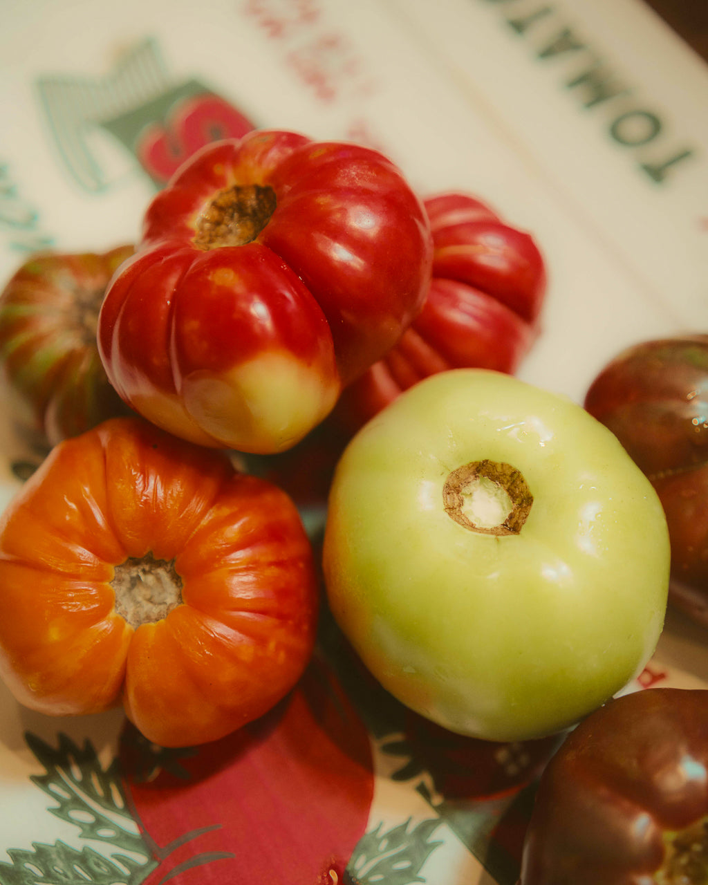 Rooted in the Triad: The Story and Soul of Heirloom Tomatoes