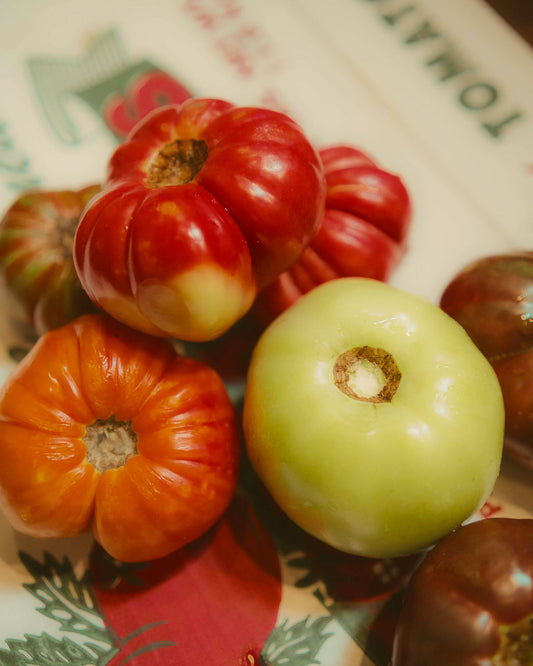 Rooted in the Triad: The Story and Soul of Heirloom Tomatoes